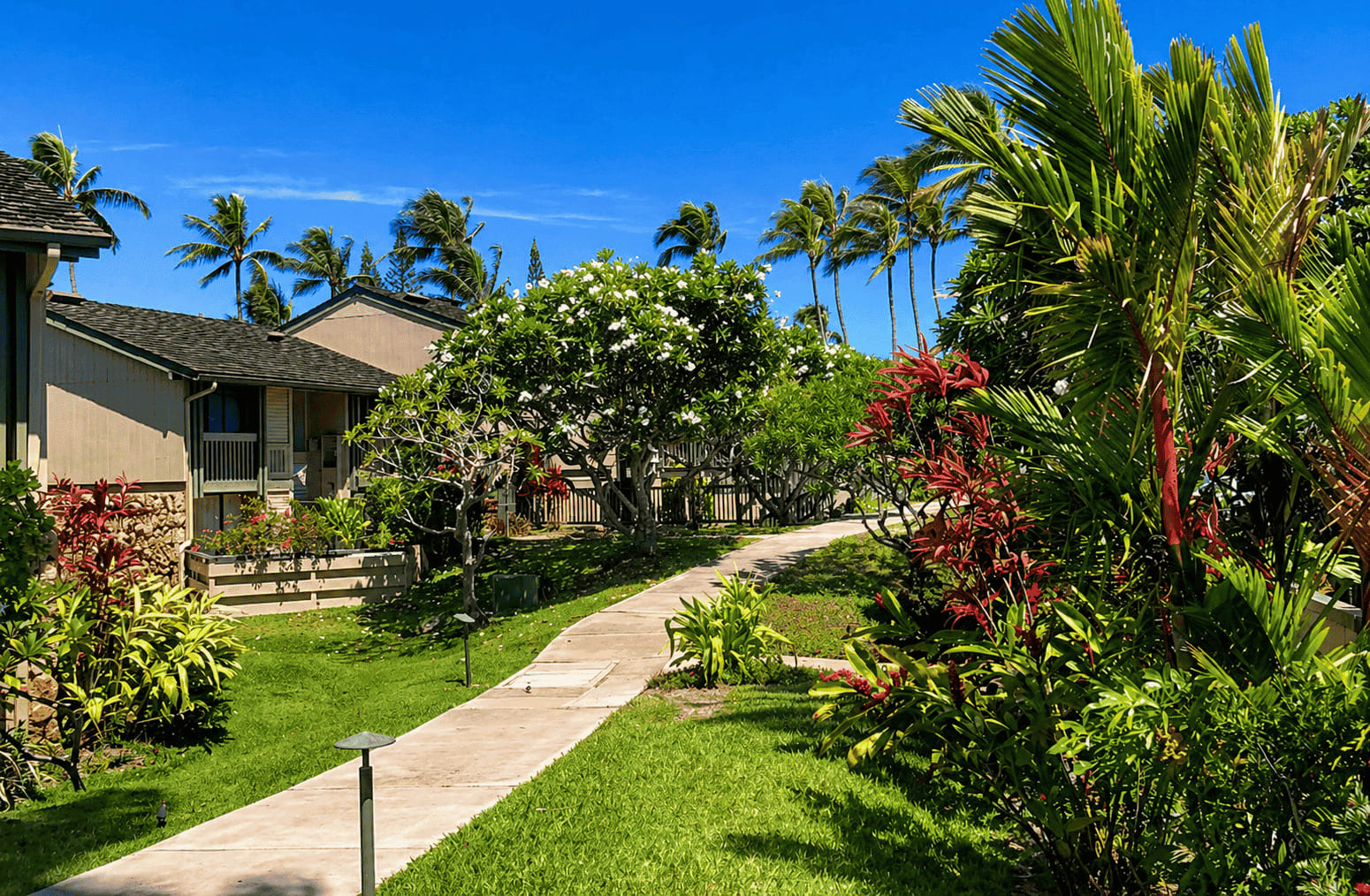 Kahuku