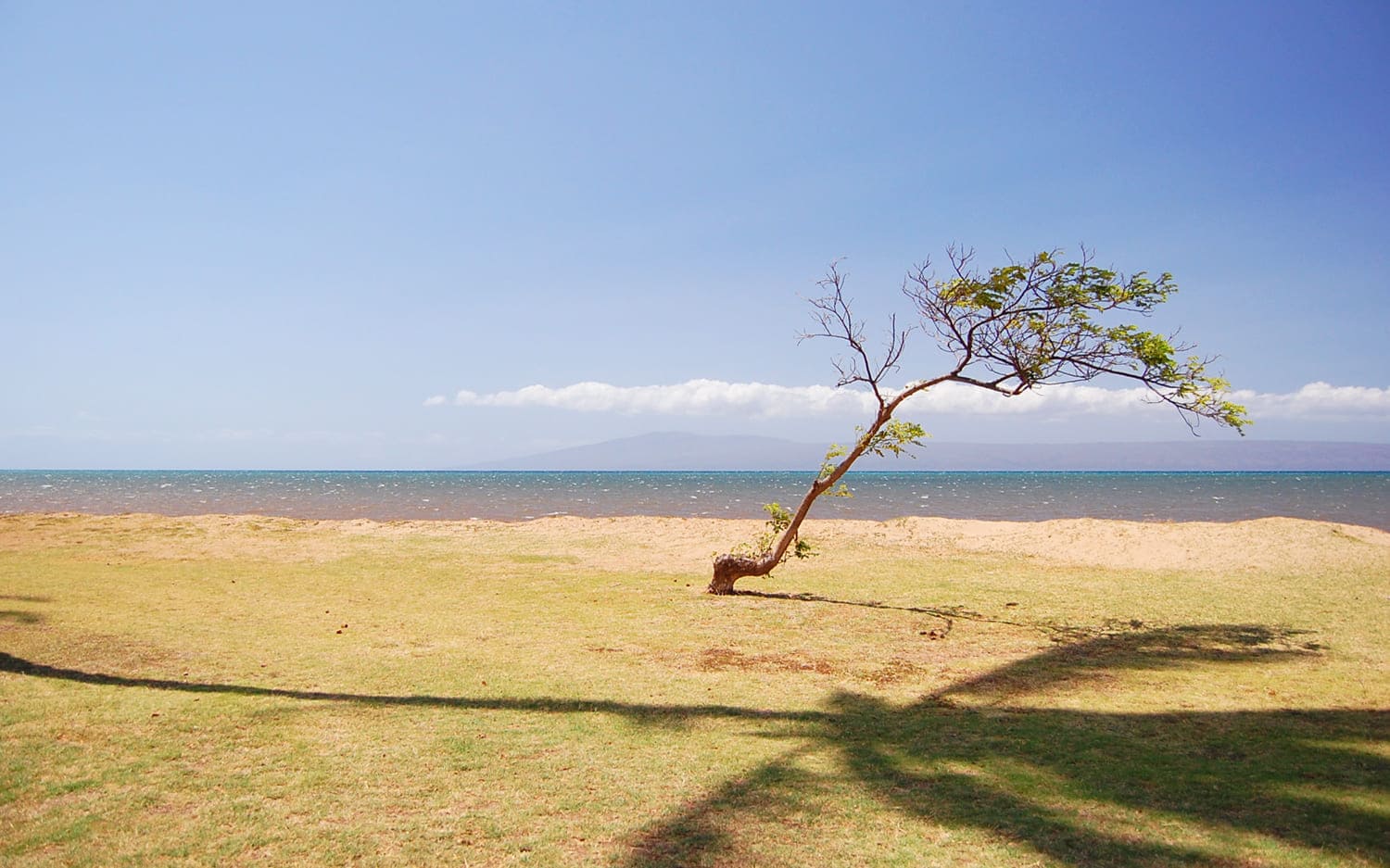Kakahai'a Beach Park