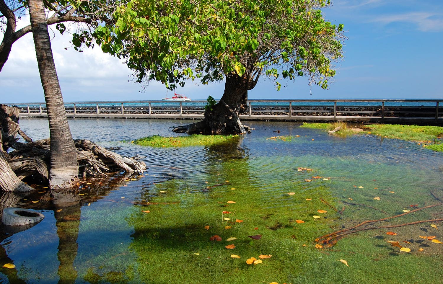 Kalahuipua'a (Mauna Lani Fishponds)