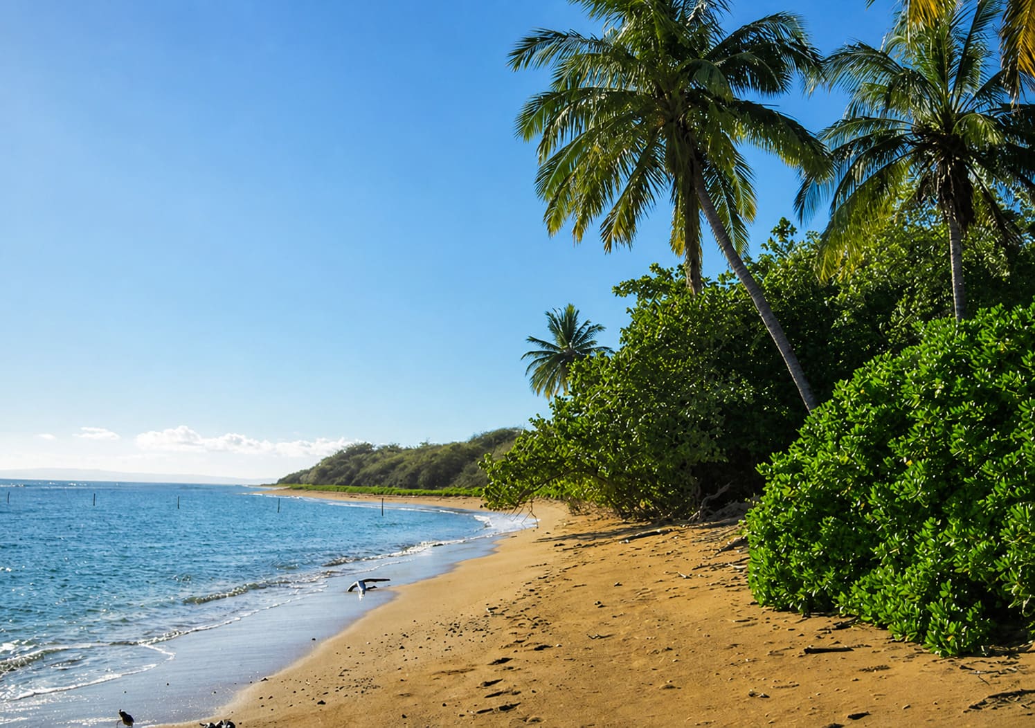 Keomuku Beach