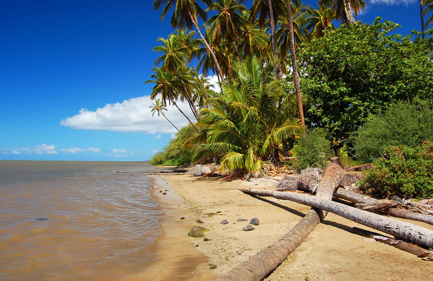 Kiowea Beach Park