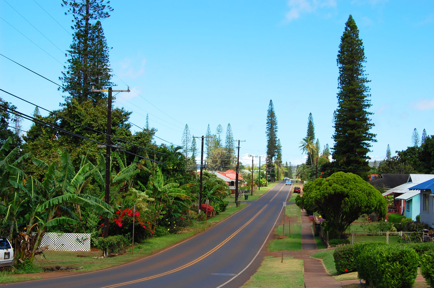 Lanai City