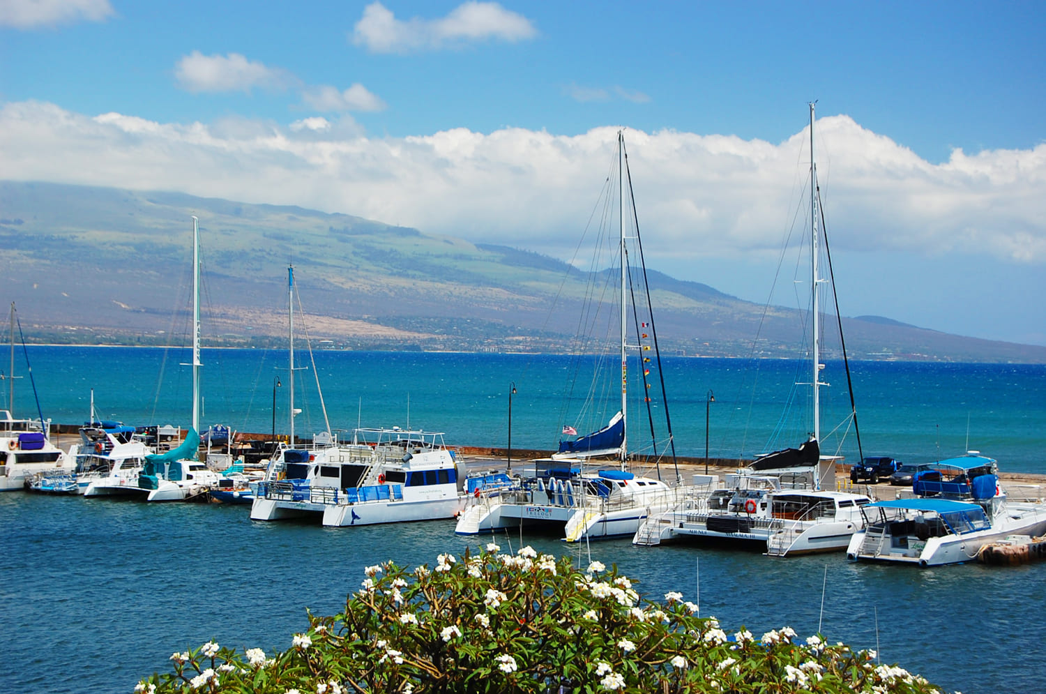 Ma'alaea Harbor