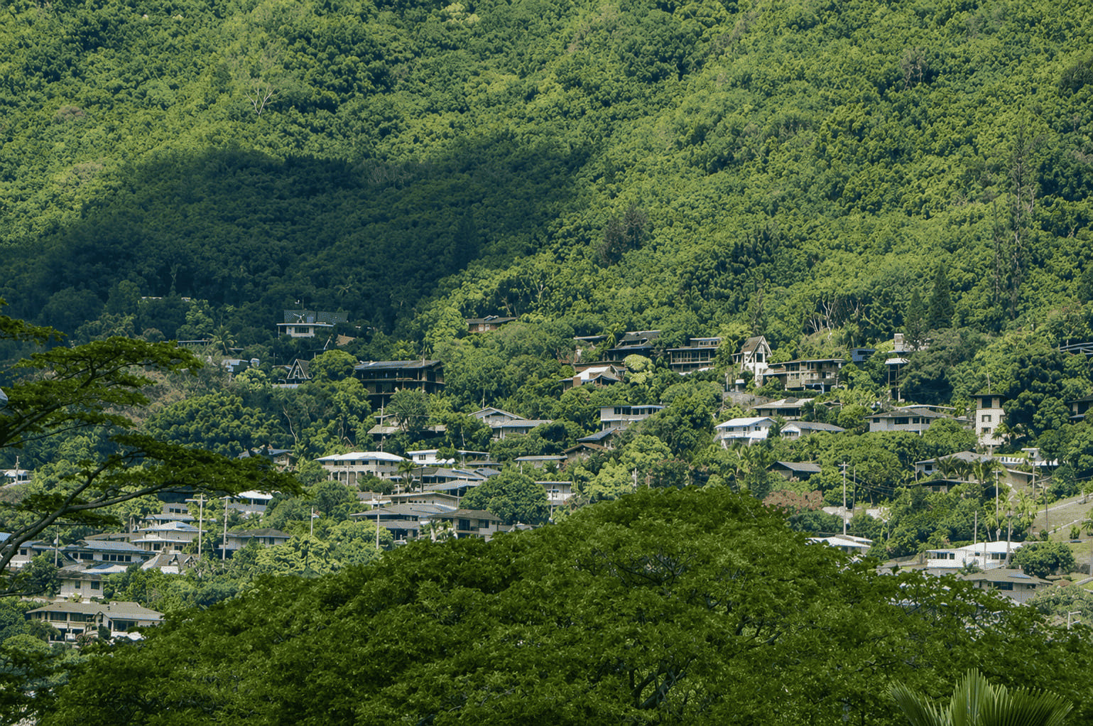 Manoa
