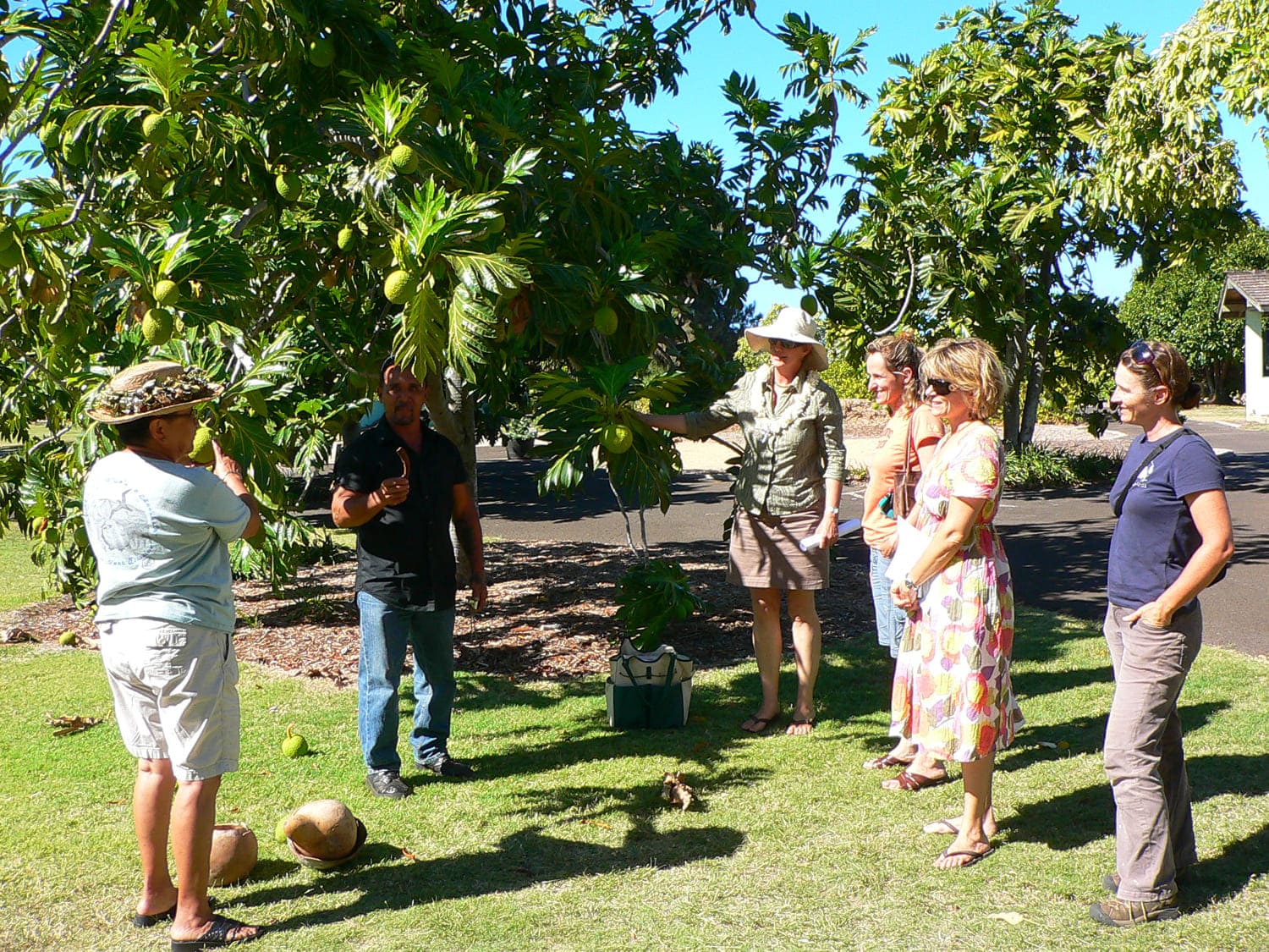 Maui Nui Botanical Gardens