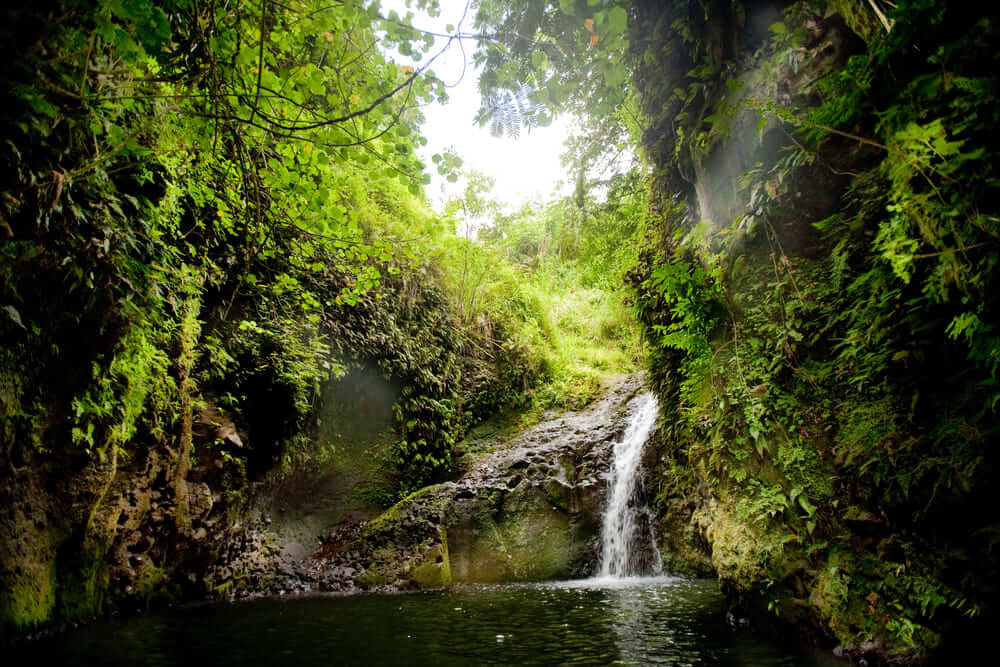 Maunawili Falls via Maunawili Demonstration Trail