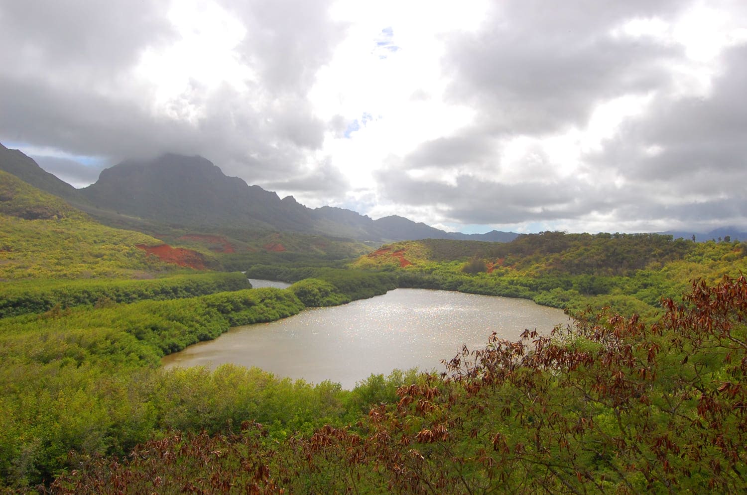 'Alekoko Fishpond (Menehune Fishpond)