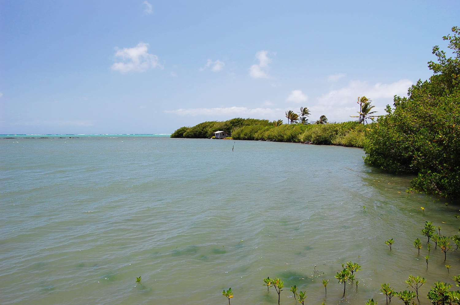 Ni'aupala Fishpond