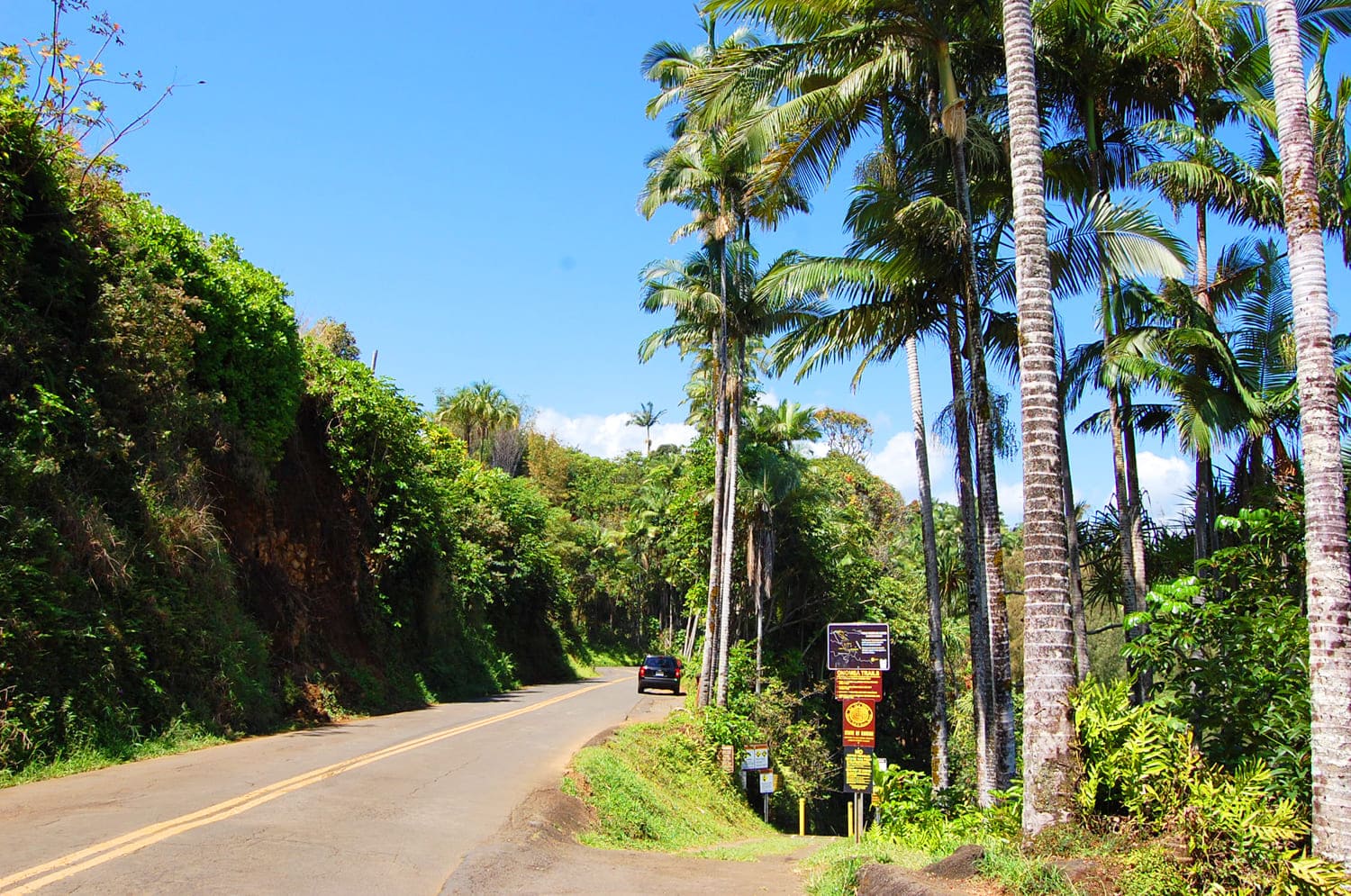 Old Mamalahoa Highway