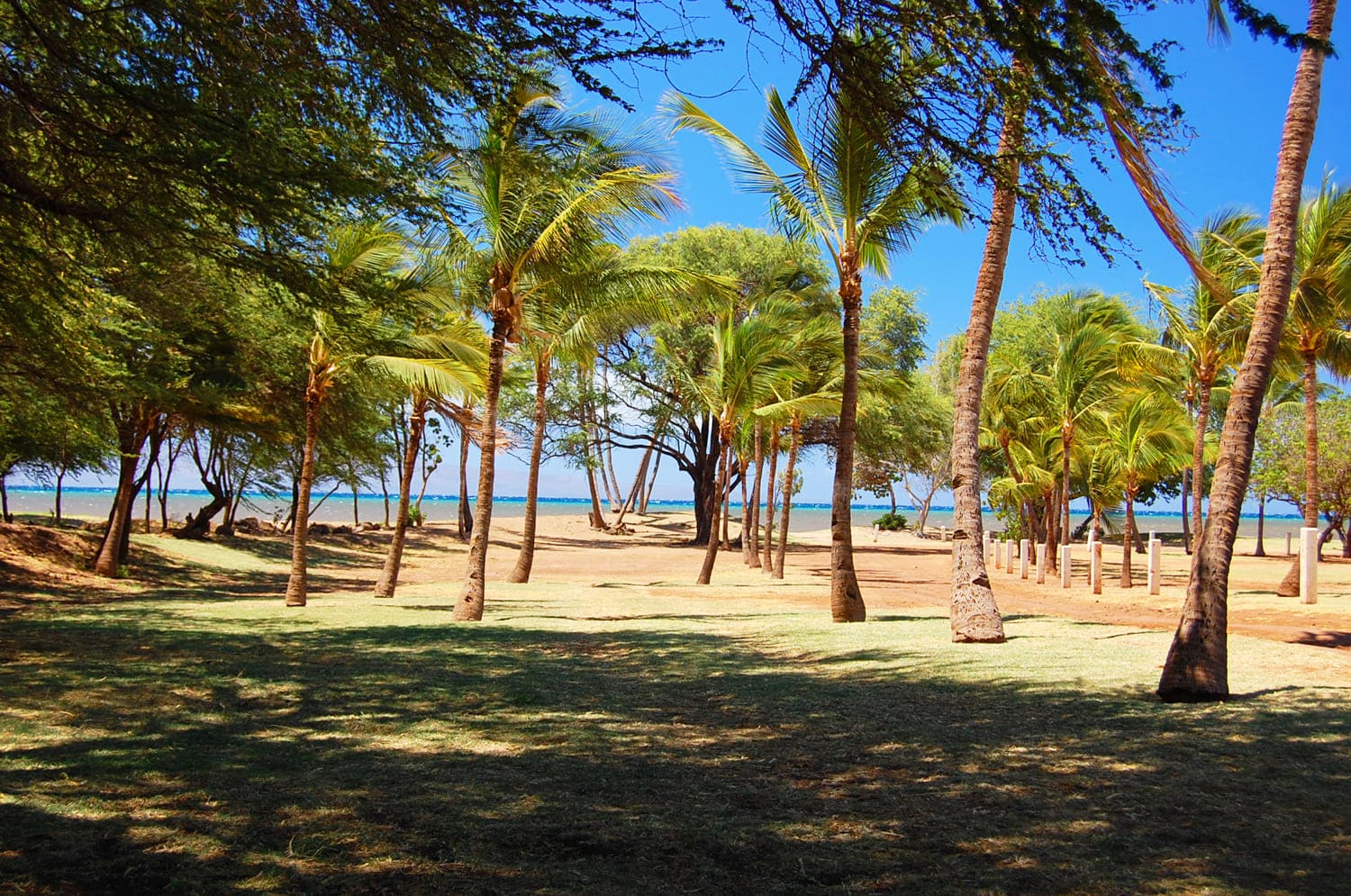 One Ali'i Beach Park