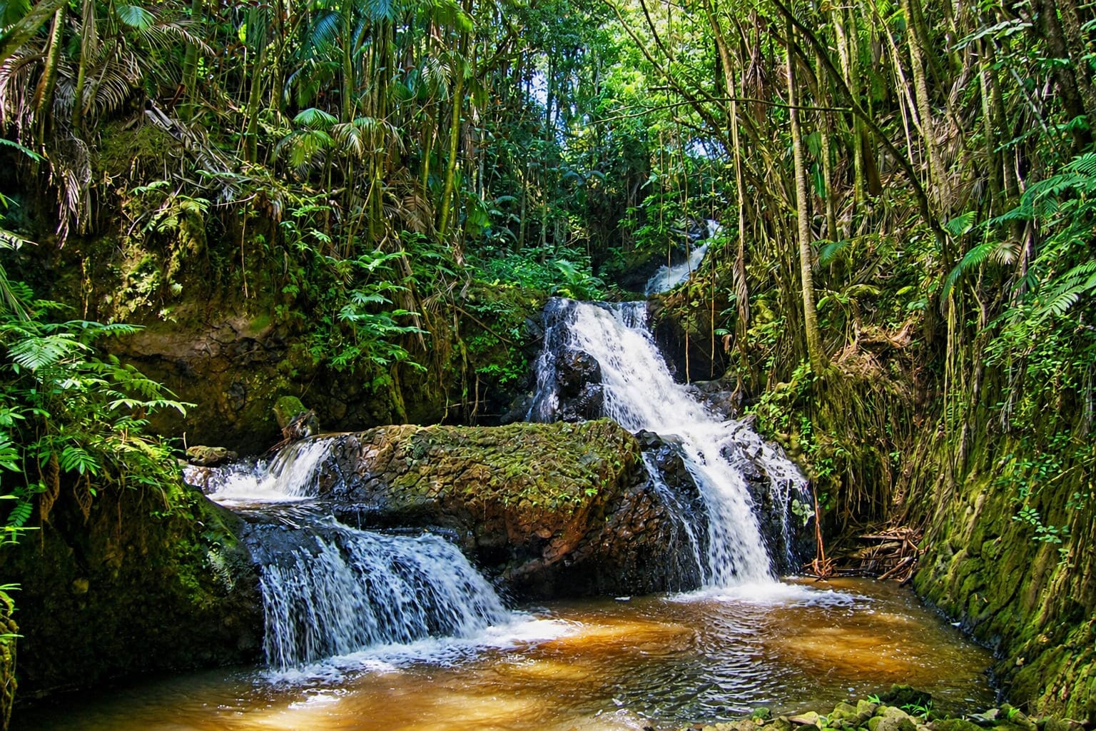 Onomea Falls