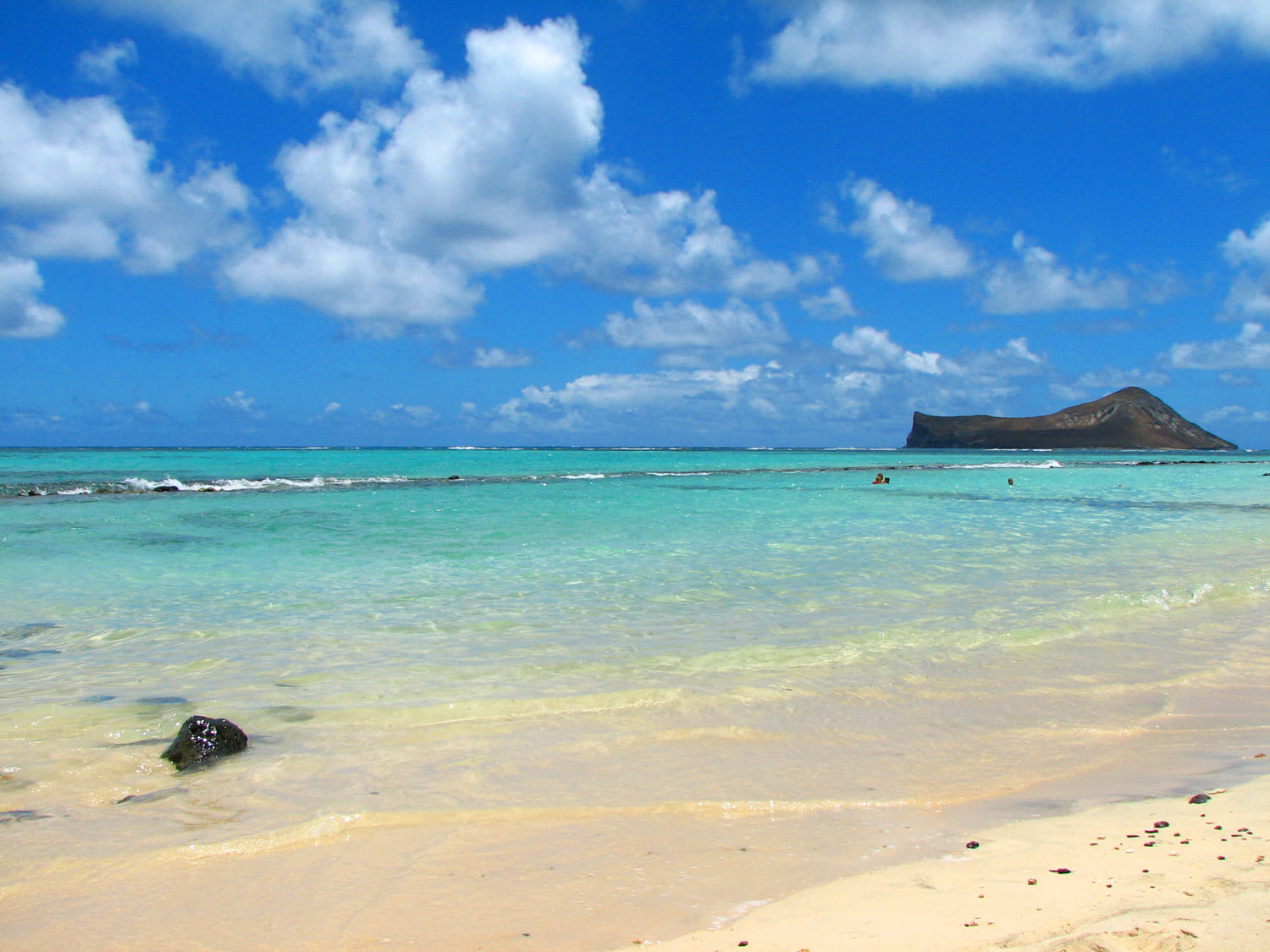 Pahonu Pond