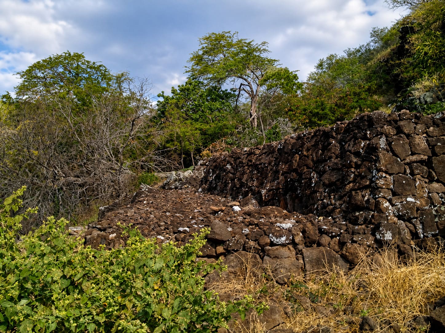 Pahua Heiau