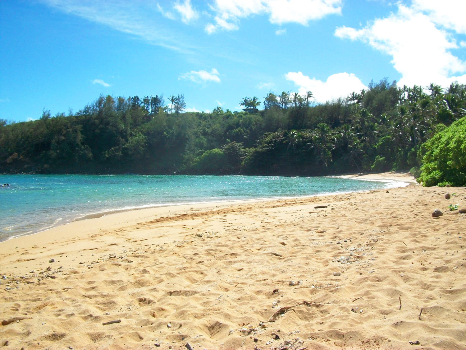Papa'a Bay