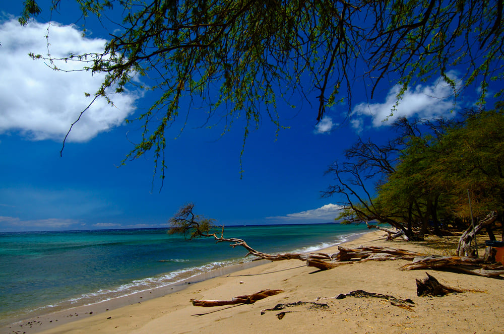 Papalaua Beach Park