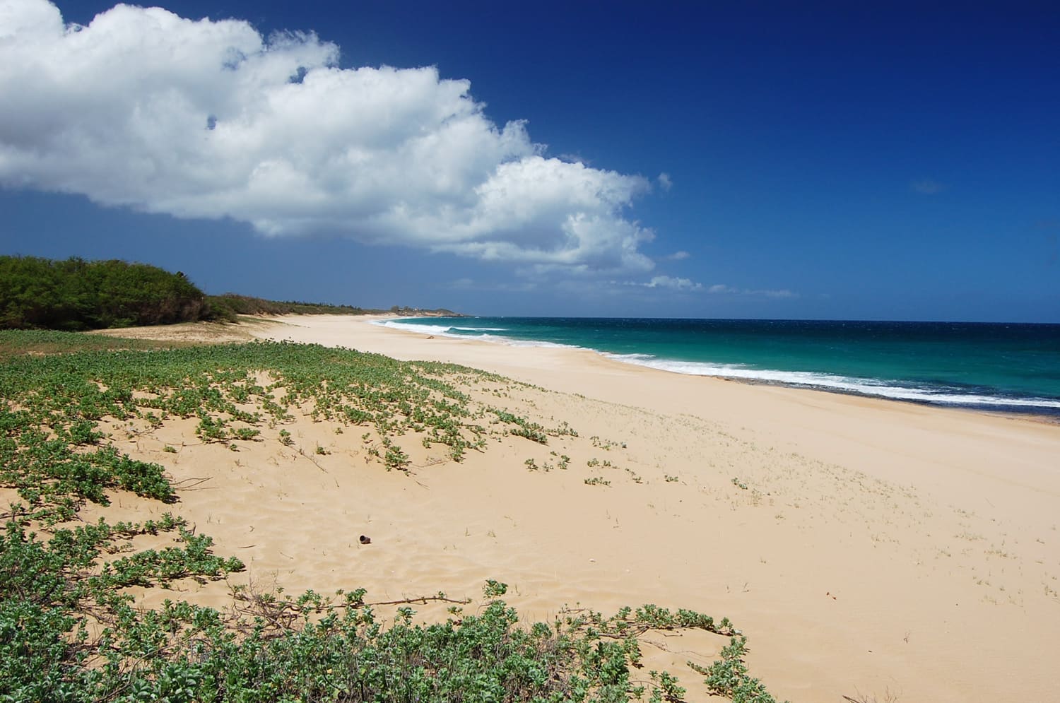 Papohaku Beach