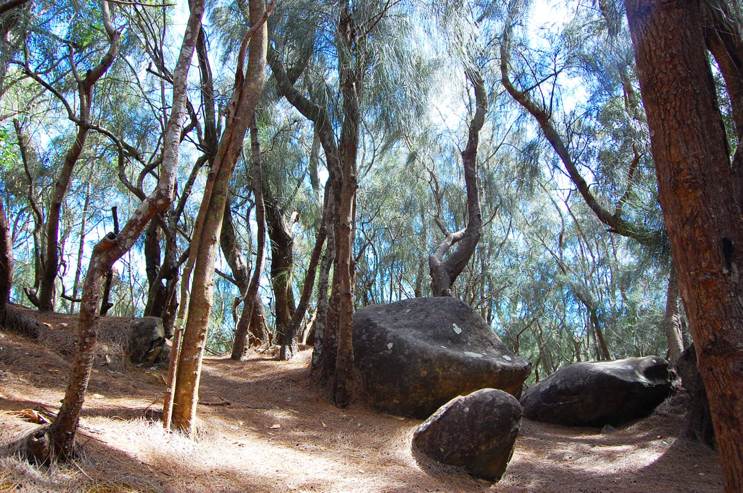 Phallic Rock (Kaule O Nanahoa)