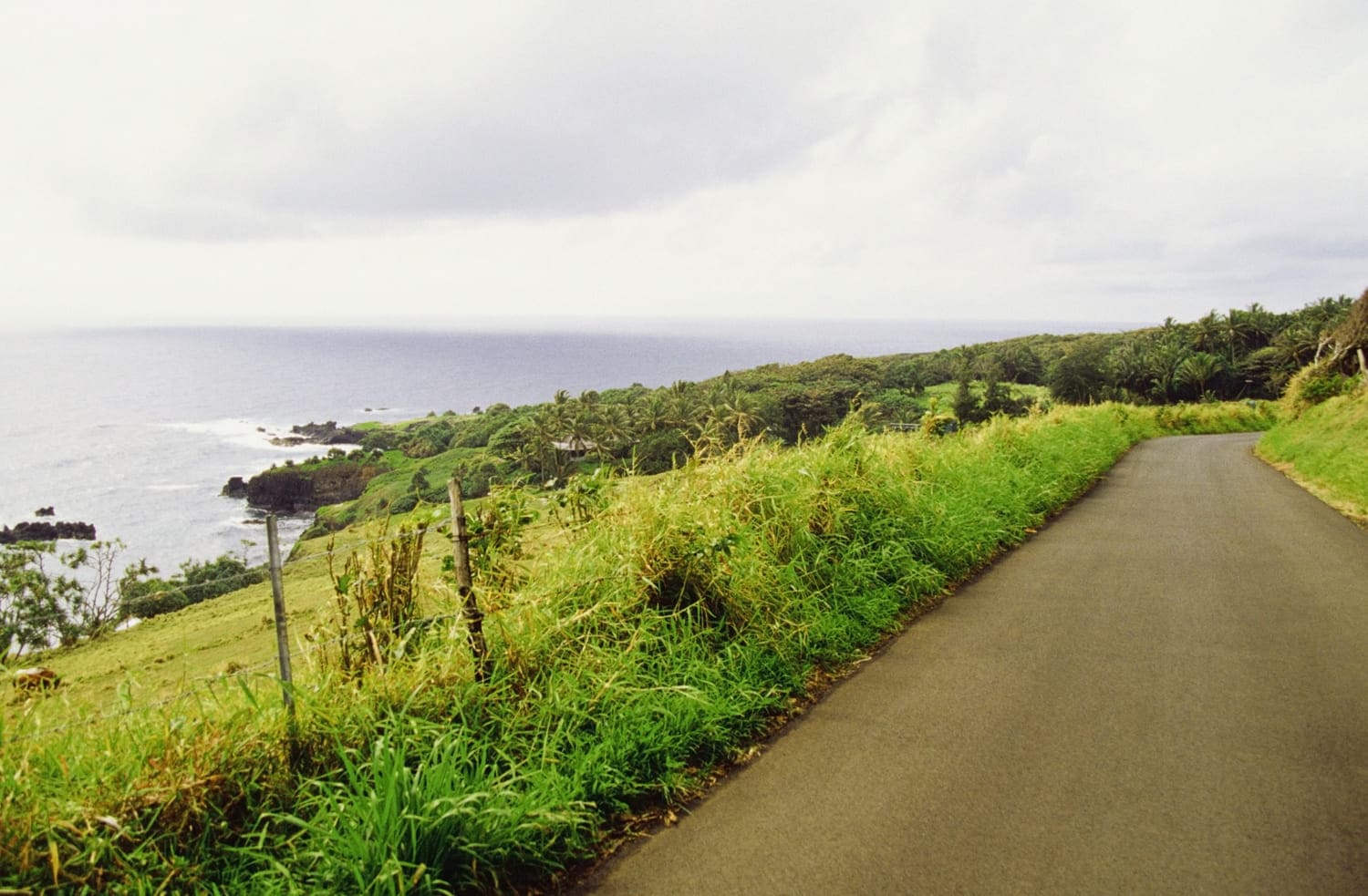 Pi'ilani Highway