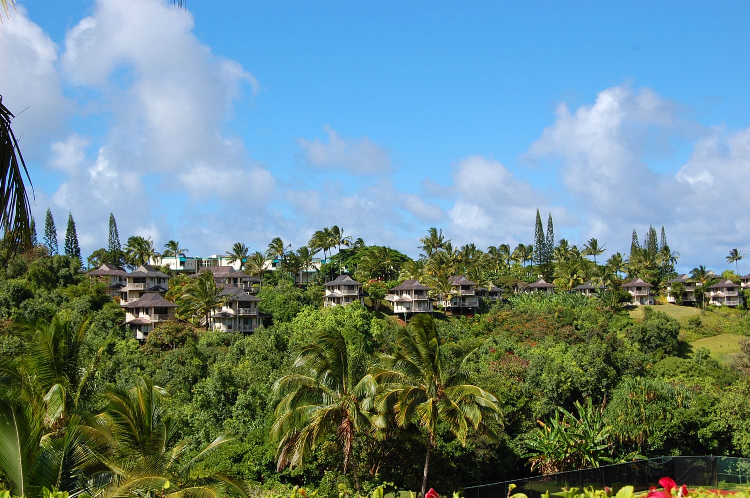 Princeville