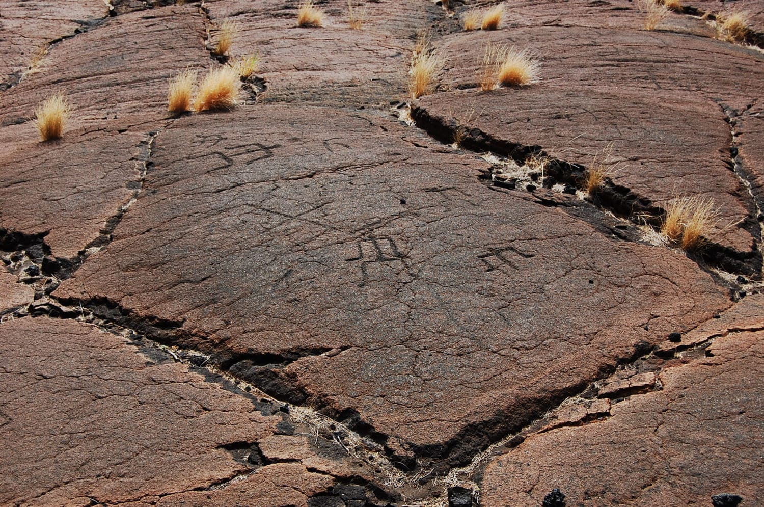 Puako Petroglyph Archaeological Preserve