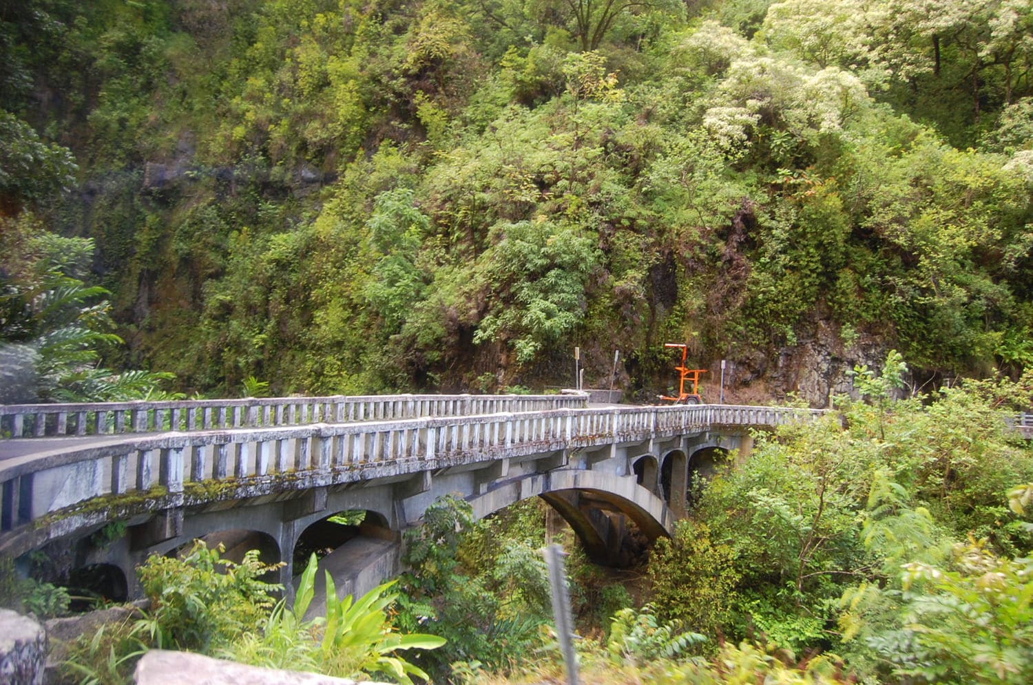 Road to Hana (Hana Highway)