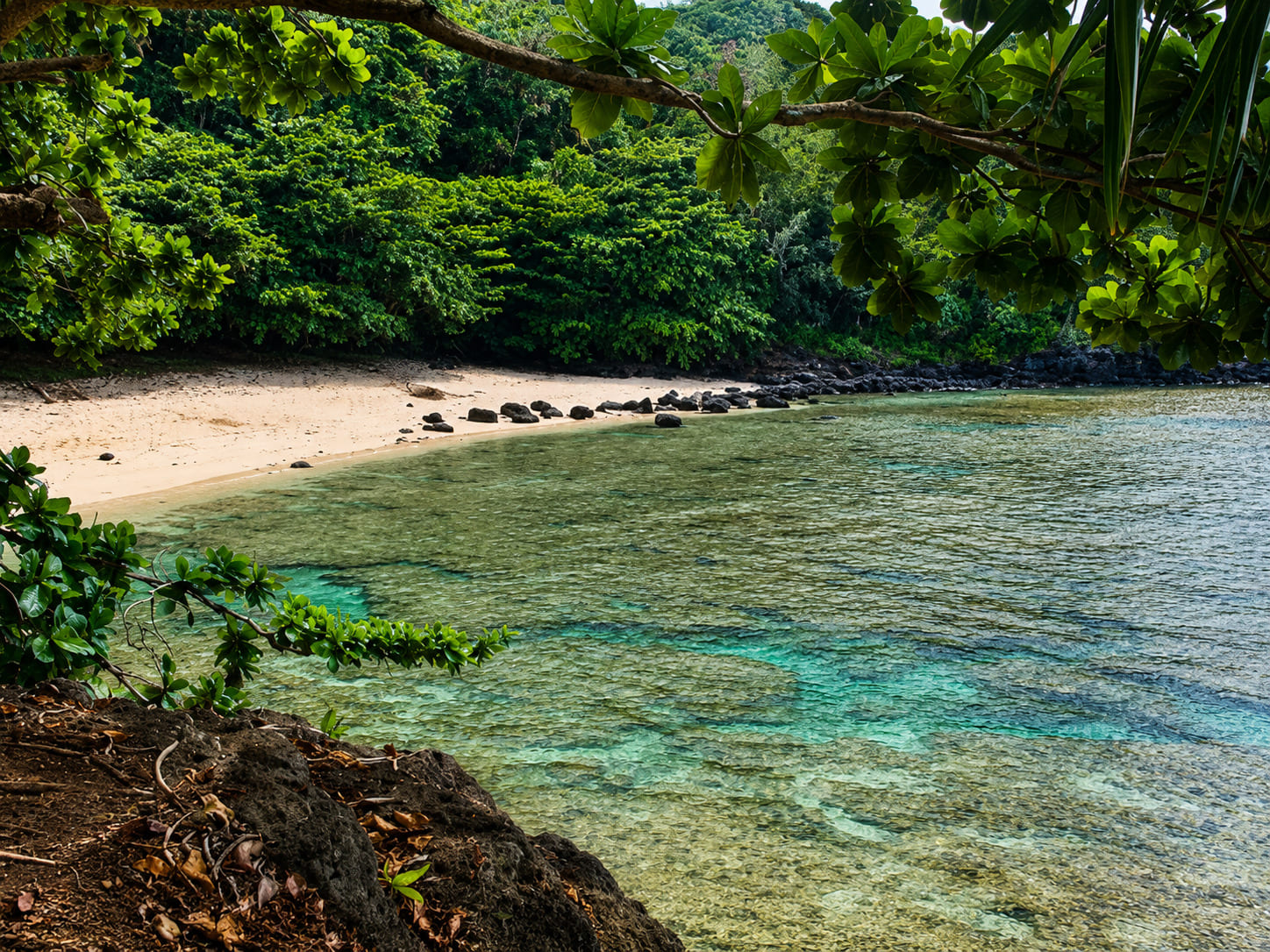 SeaLodge Beach
