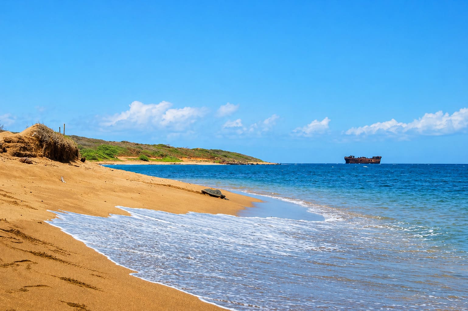 Shipwreck Beach