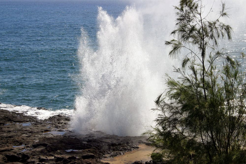 Spouting Horn