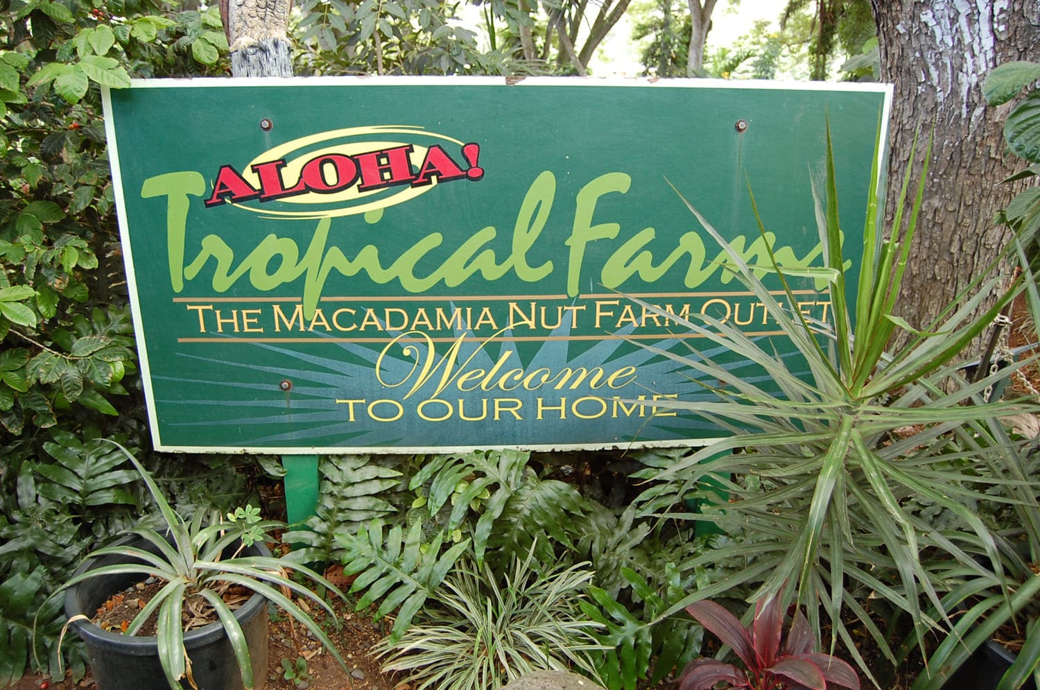 Tropical Farms