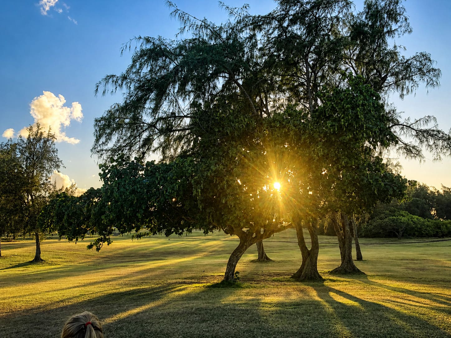 Turtle Bay Golf