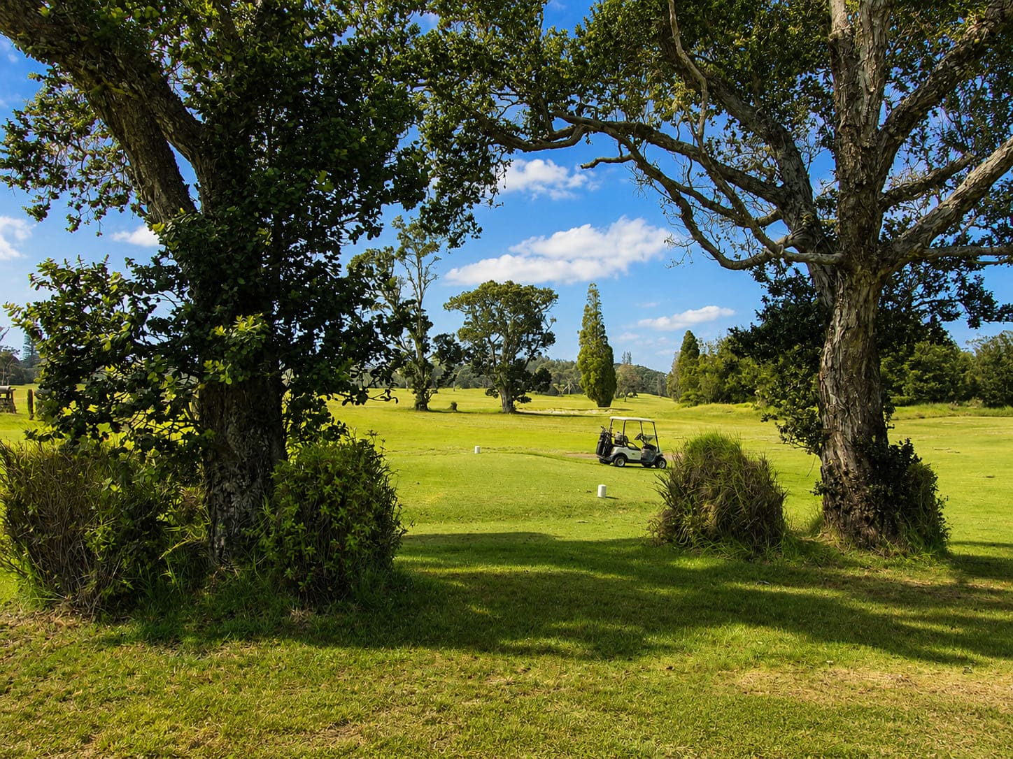 Volcano Golf Course
