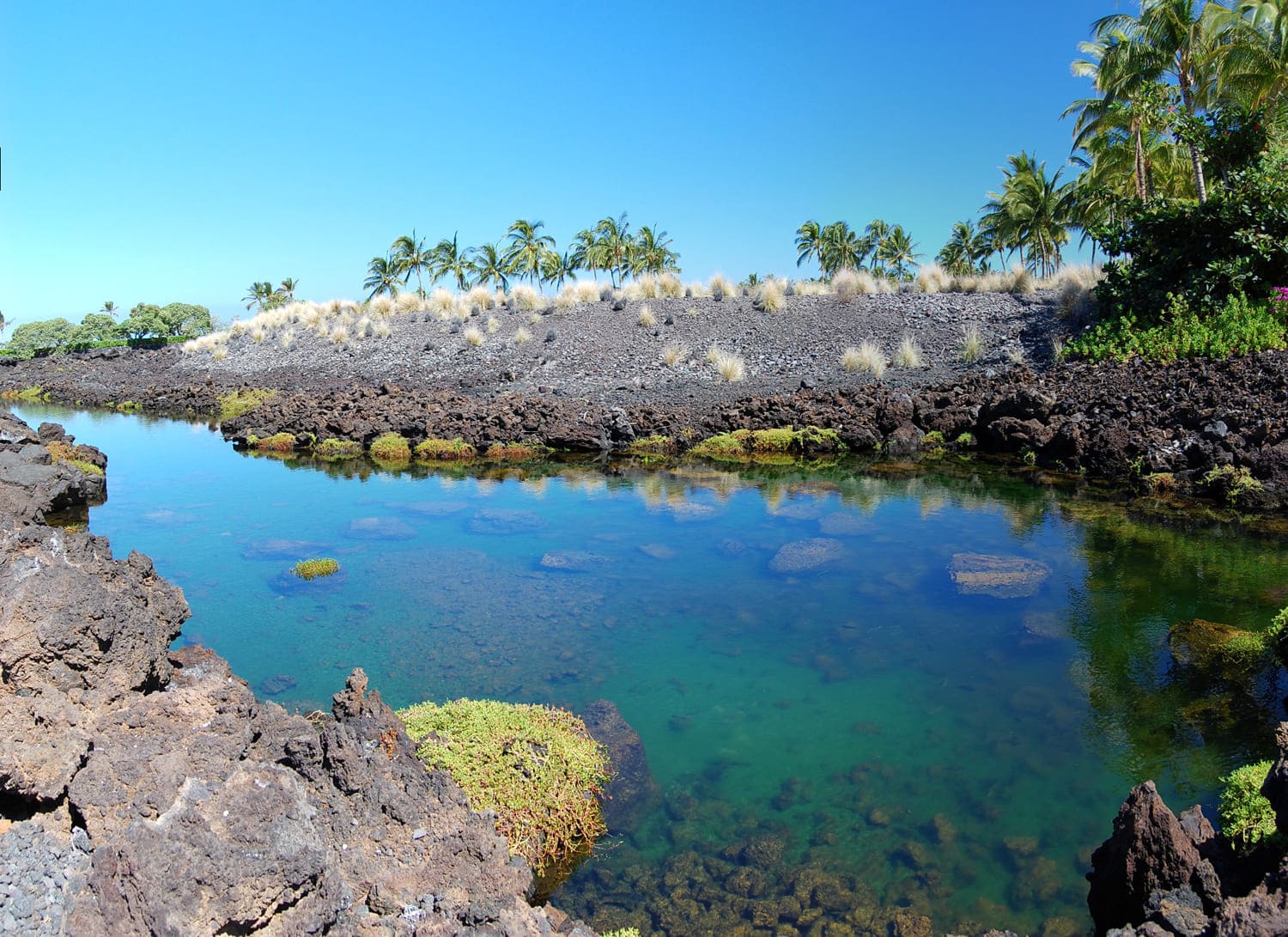 Waikoloa Anchialine Pond Preservation Area
