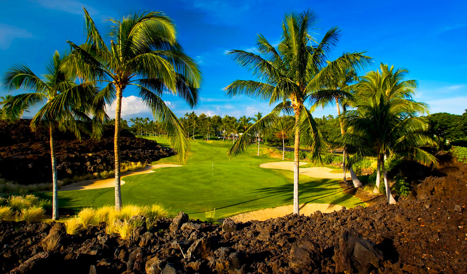 Waikoloa Beach Resort - Beach Nine