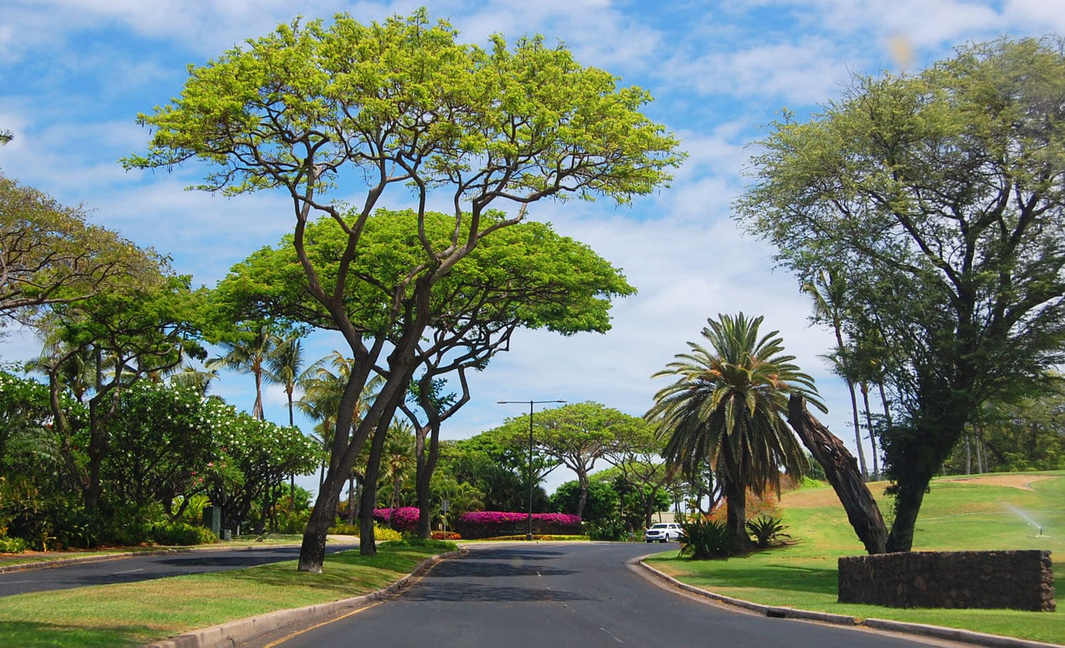 Wailea Alanui Drive