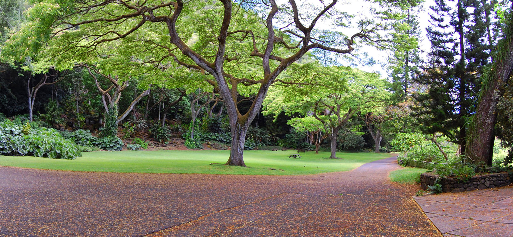 Waimea Valley