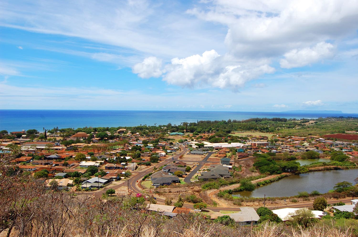 Waimea
