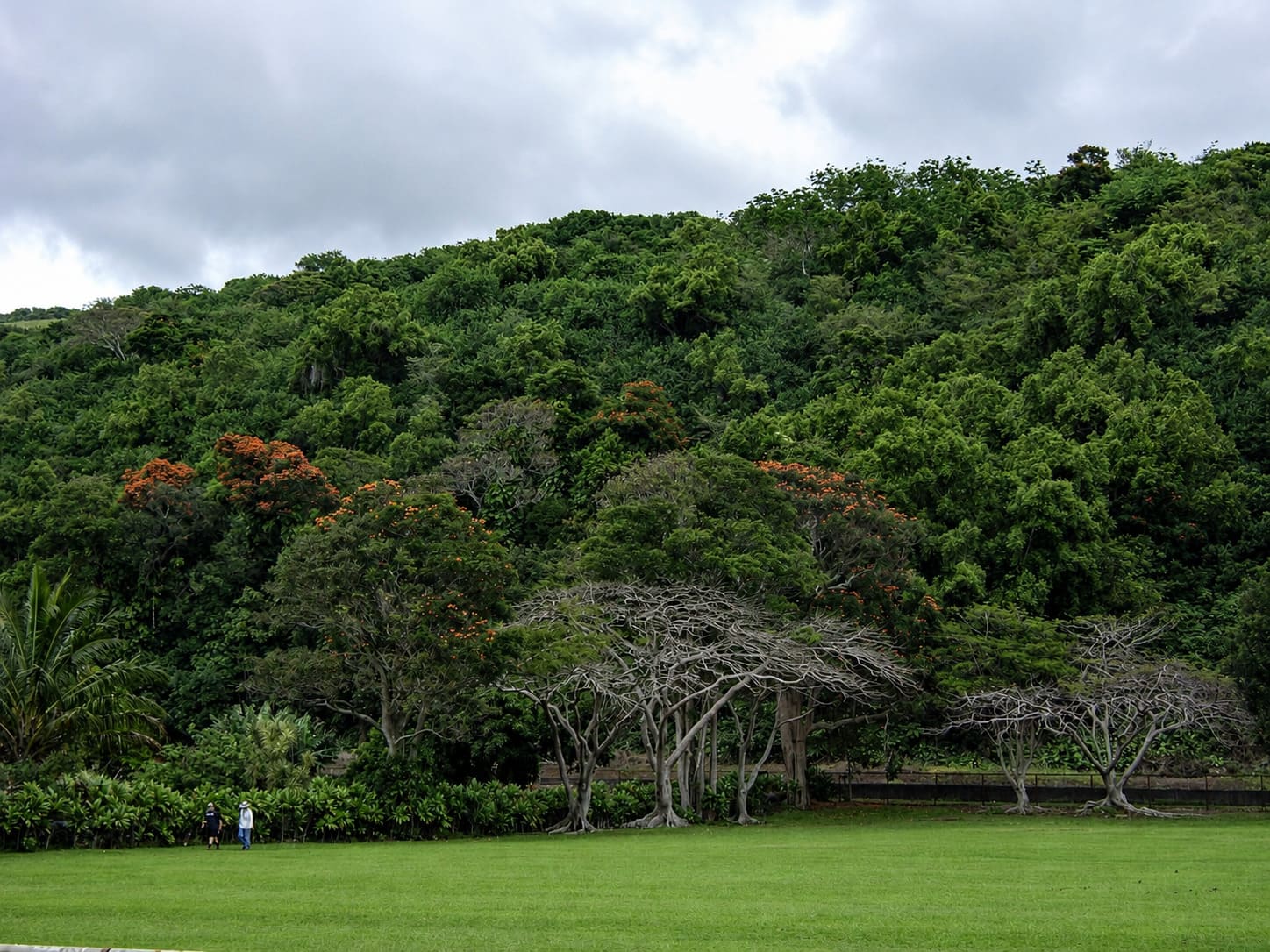 Wai'ohinu