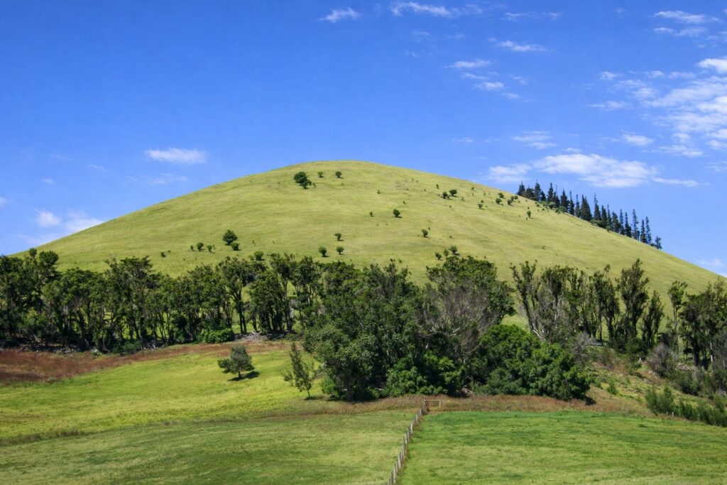 Waimea (Kamuela)