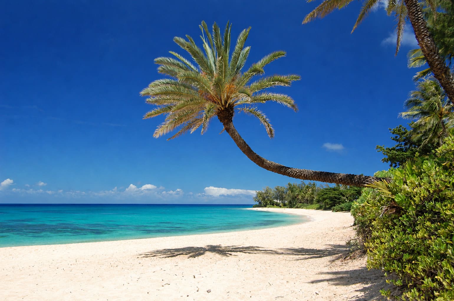 Hawaii vacation planning hero image