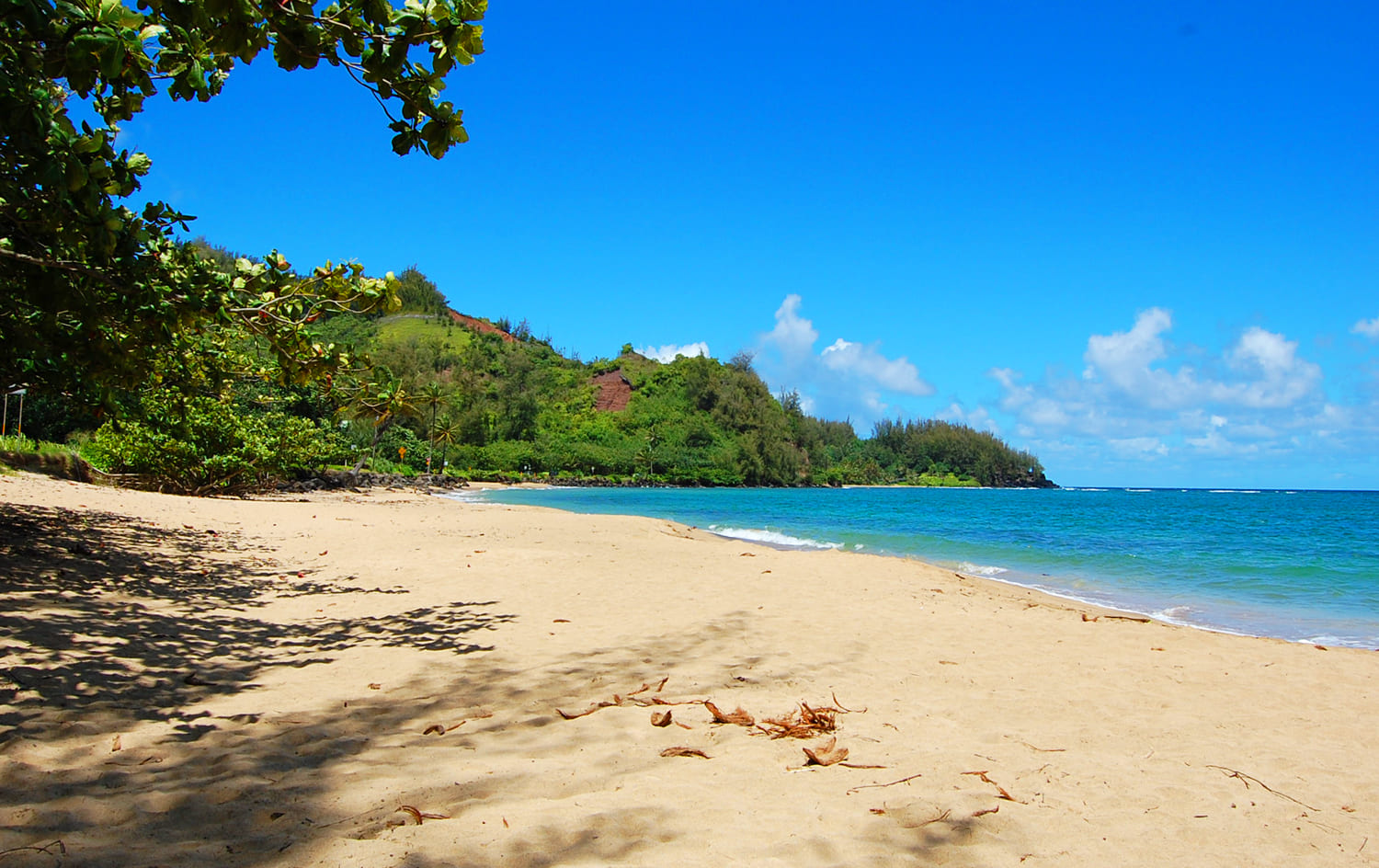 Waikoko Beach