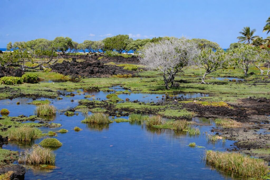 Waikoloa Village
