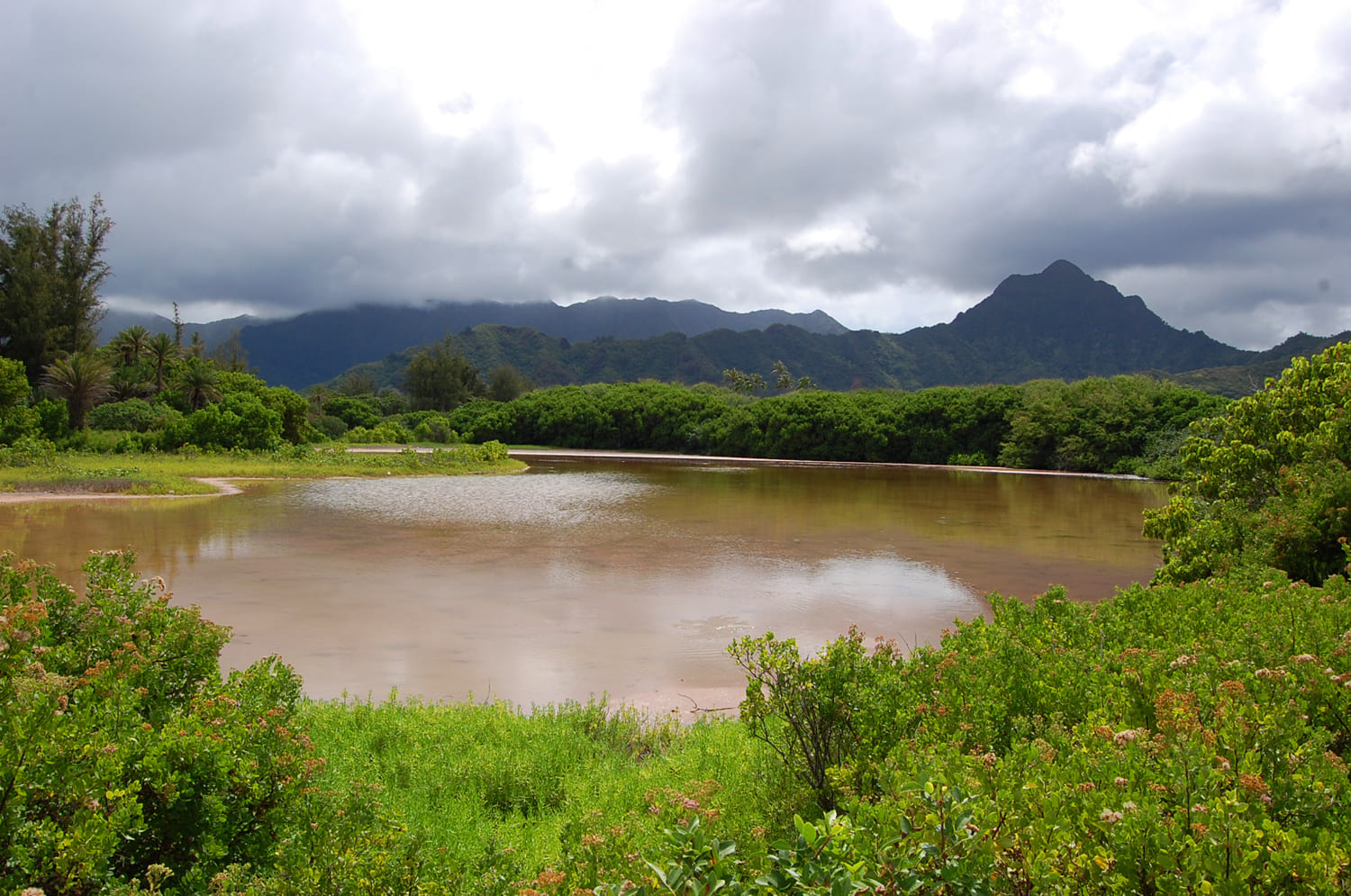 Moli'i and 'Apua Fishponds