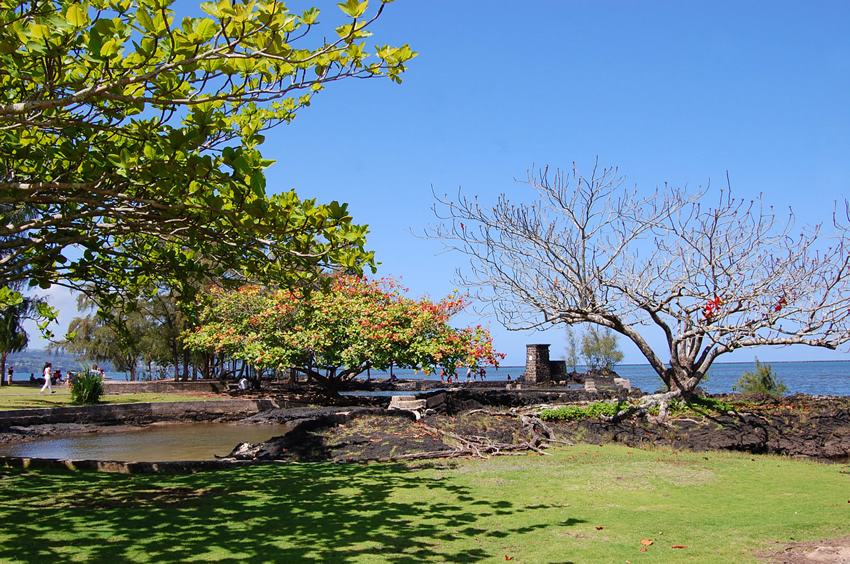 Island Scenery
