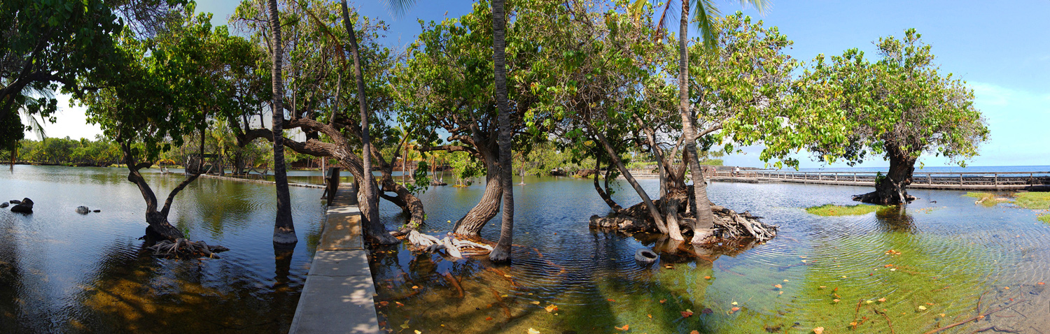 Kalahuipuaa Fishponds 2