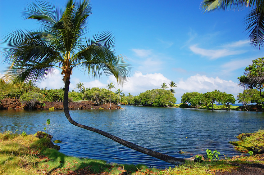 Scenic Mauna Lani Fishpond