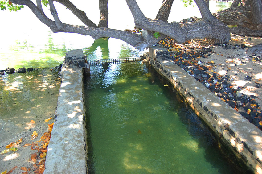 Seawater Gate 2