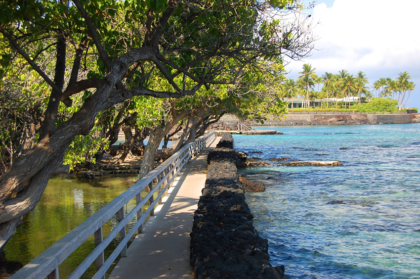 Shoreline Trail 1
