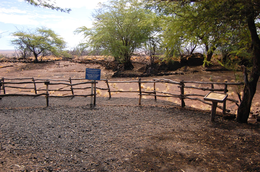 Puako Petroglyphs Archaeological Park