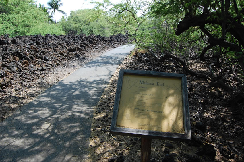 Trail Starts Here