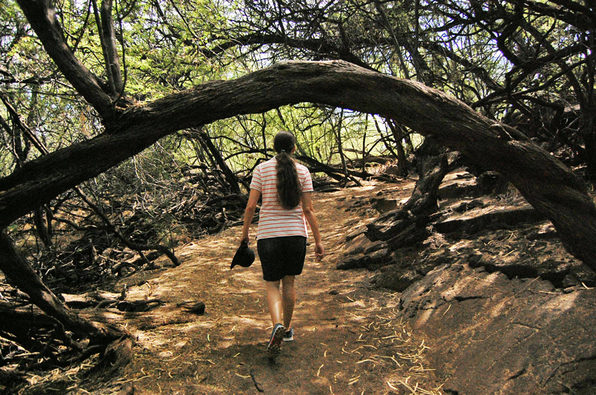 Trail to Petroglyphs 1